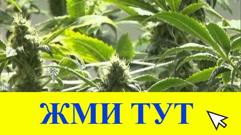 Купить наркотики в Тобольске